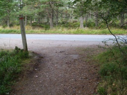 Image on trail